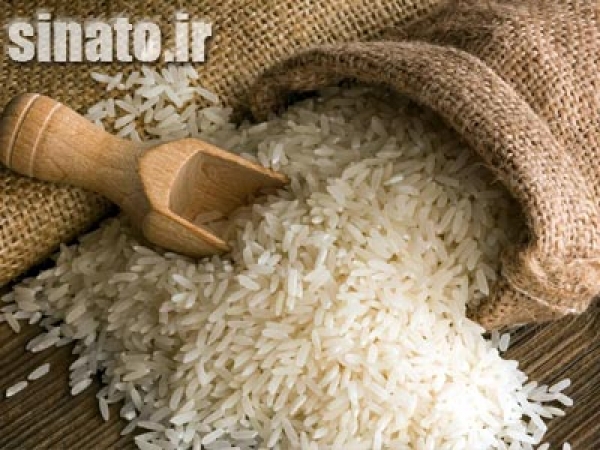 تاثیر اسید هیومیک بر رشد برنج