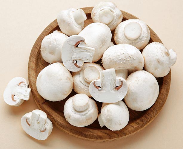 اهمیت کربنات کلسیم برای پرورش قارچ