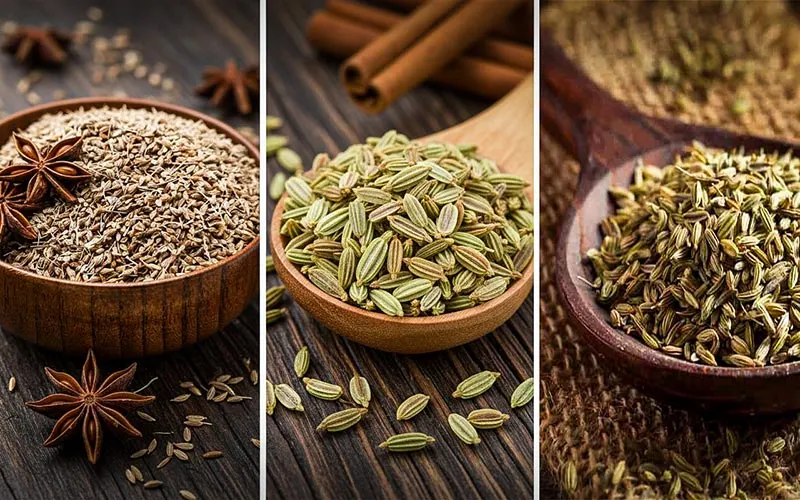 مقایسه ظاهری دانه‌های زنیان رازیانه و بادیان - تفاوت اندازه رنگ و شکل سه گیاه دارویی ایرانی