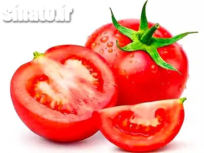 بهترین کود برای رشد و قرمز شدن گوجه فرنگی - گوجه های قرمز رسیده و سالم روی بوته