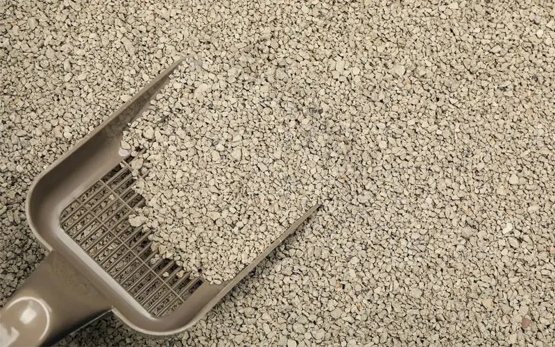 انواع جایگزین های طبیعی خاک گربه شامل زئولیت، چوب و کاغذ