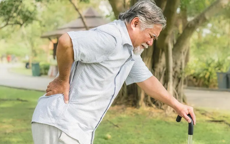 منابع گیاهی کلسیم شامل سبزیجات برگ سبز، حبوبات و دانه‌ها