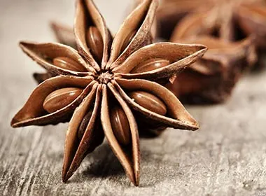 بادیان ستاره‌ای چینی (Star Anise) - ادویه هشت پر با اسید شیکیمیک برای تولید داروی آنفلوانزا